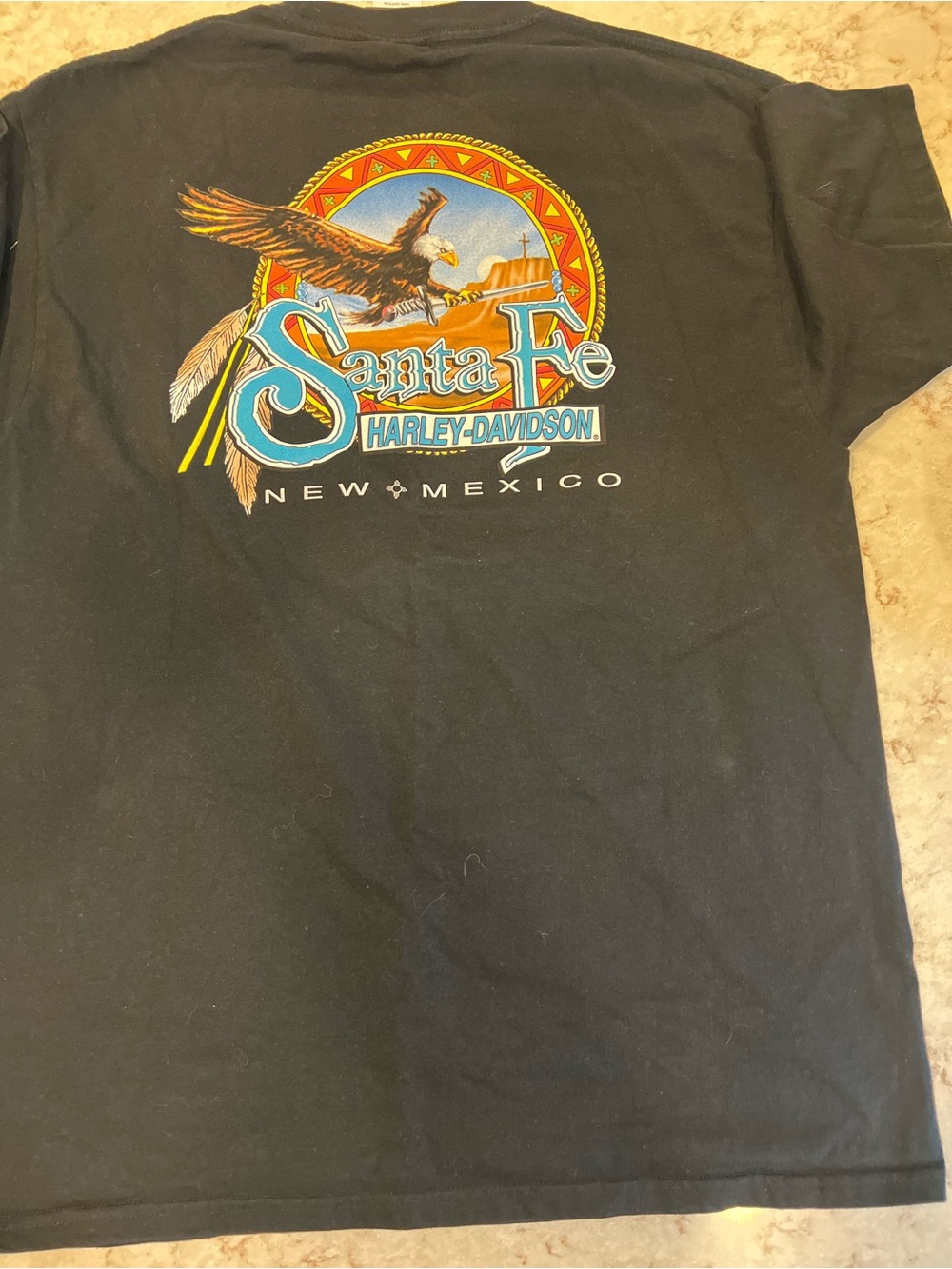 Harley-Davidson Black Santa Fe Eagle Graphic Tee with Bright Accents